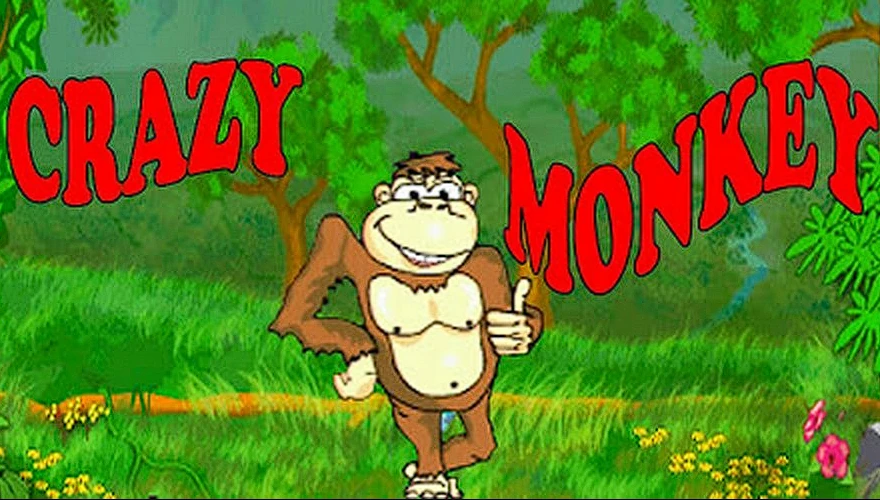 crazy monkey slot